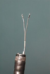n_img003-1