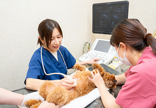 丁寧な診察・良質な獣医療を心がけております
